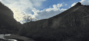 The sun sets behind jagged mountain peaks overlooking a tree on the bank of the Colarado river