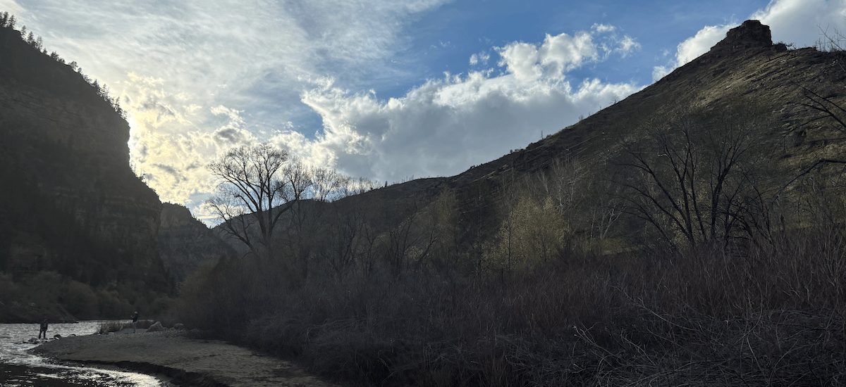 The sun sets behind jagged mountain peaks overlooking a tree on the bank of the Colarado river