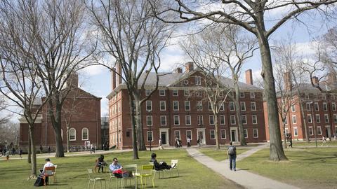 Students relax in colorful Luxembourg chairs on the lawn of Harvard Yard, with Hollis Hall's brick facade in the background.